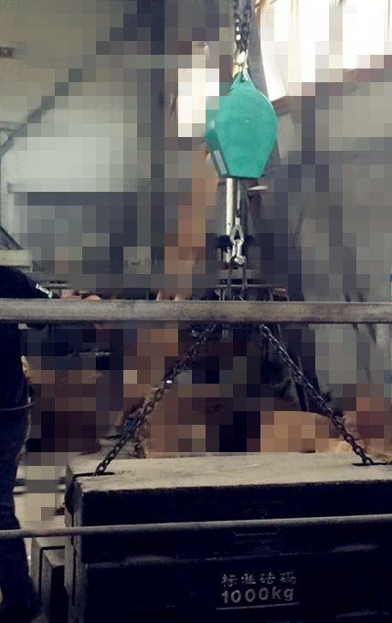 防墜器拉力測試現(xiàn)場.jpg 防墜器拉力測試現(xiàn)場.jpg